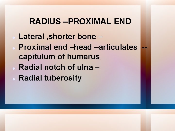 RADIUS –PROXIMAL END Lateral , shorter bone – Proximal end –head –articulates -capitulum of