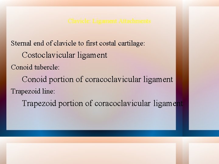 Clavicle: Ligament Attachments Sternal end of clavicle to first costal cartilage: Costoclavicular ligament Conoid