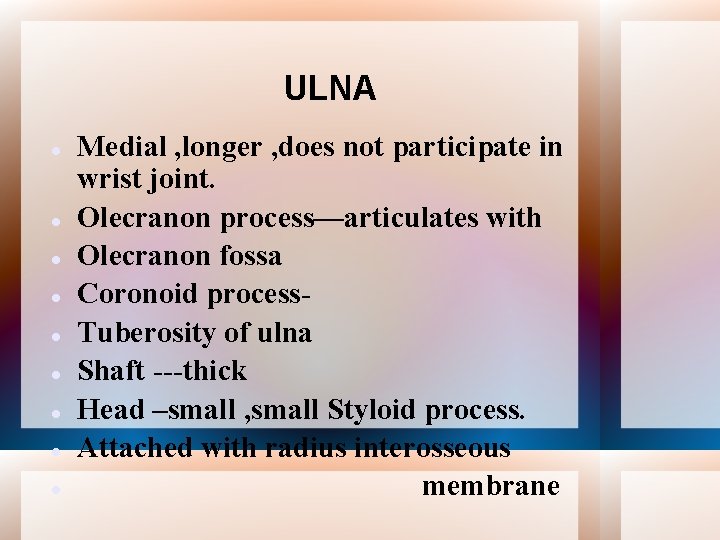 ULNA Medial , longer , does not participate in wrist joint. Olecranon process—articulates with