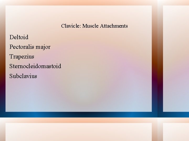 Clavicle: Muscle Attachments Deltoid Pectoralis major Trapezius Sternocleidomastoid Subclavius 