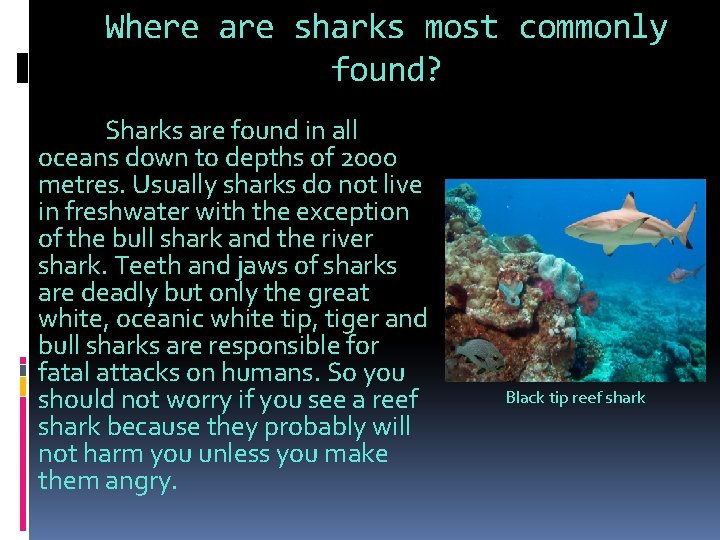 Where are sharks most commonly found? Sharks are found in all oceans down to