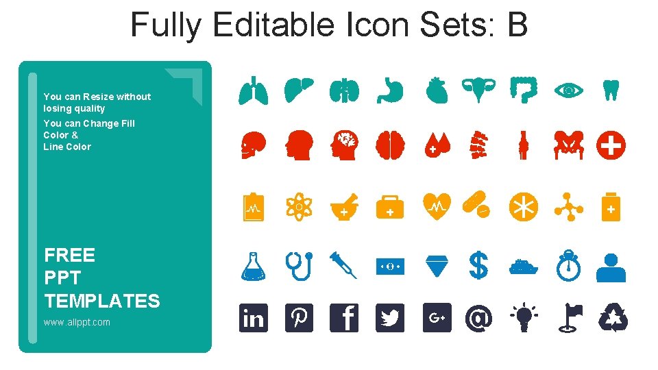 Fully Editable Icon Sets: B You can Resize without losing quality You can Change