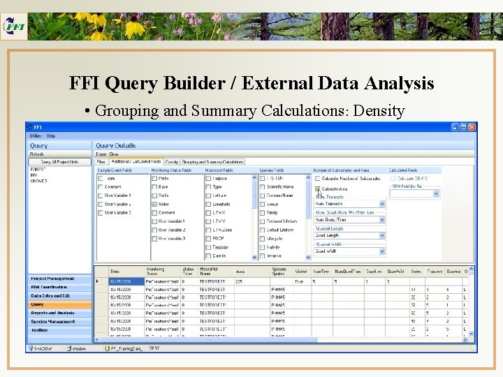 FFI Query Builder / External Data Analysis • Grouping and Summary Calculations: Density 