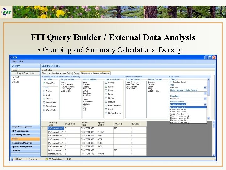 FFI Query Builder / External Data Analysis • Grouping and Summary Calculations: Density 
