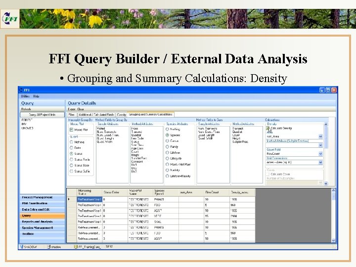 FFI Query Builder / External Data Analysis • Grouping and Summary Calculations: Density 