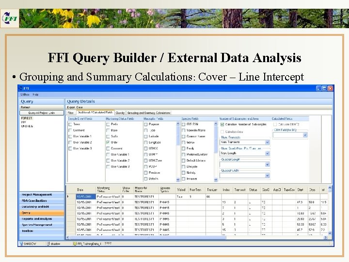 FFI Query Builder / External Data Analysis • Grouping and Summary Calculations: Cover –