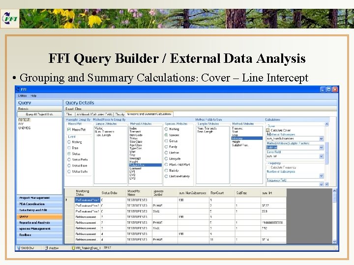 FFI Query Builder / External Data Analysis • Grouping and Summary Calculations: Cover –