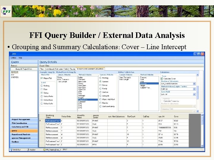 FFI Query Builder / External Data Analysis • Grouping and Summary Calculations: Cover –