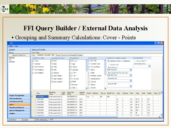 FFI Query Builder / External Data Analysis • Grouping and Summary Calculations: Cover -