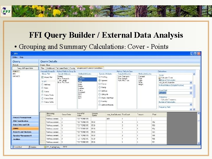 FFI Query Builder / External Data Analysis • Grouping and Summary Calculations: Cover -