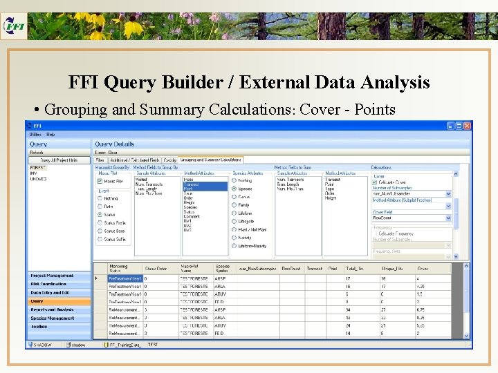 FFI Query Builder / External Data Analysis • Grouping and Summary Calculations: Cover -