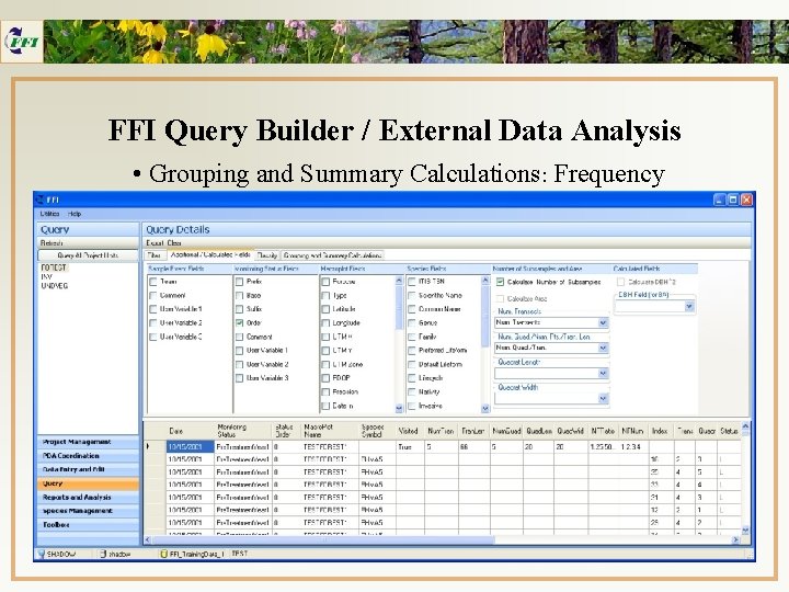 FFI Query Builder / External Data Analysis • Grouping and Summary Calculations: Frequency 