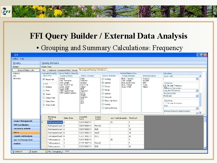 FFI Query Builder / External Data Analysis • Grouping and Summary Calculations: Frequency 