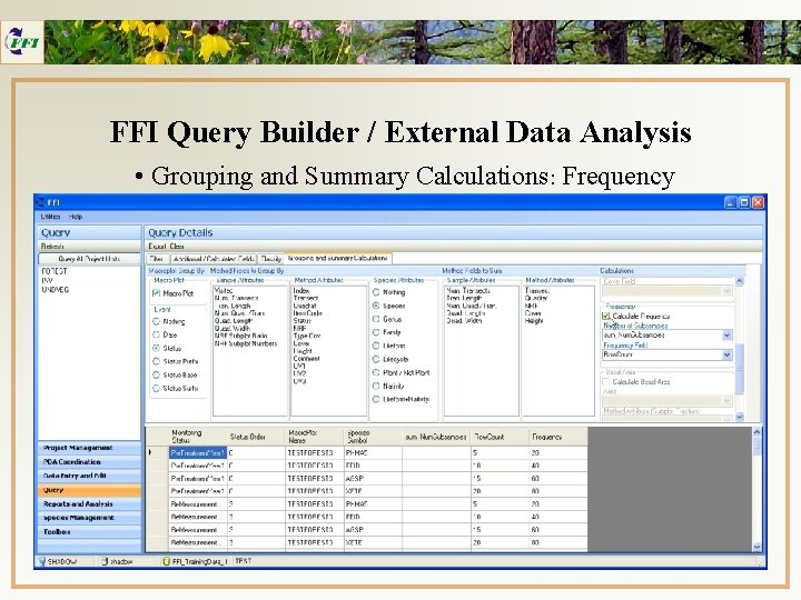 FFI Query Builder / External Data Analysis • Grouping and Summary Calculations: Frequency 