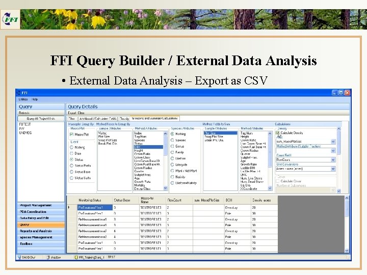 FFI Query Builder / External Data Analysis • External Data Analysis – Export as