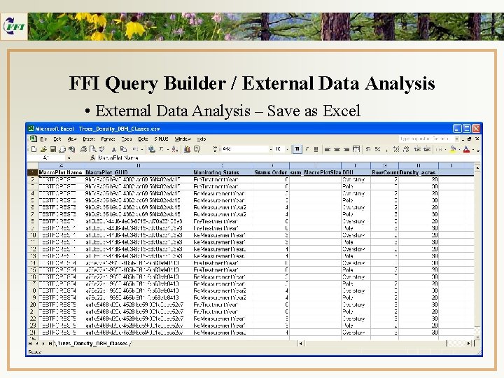 FFI Query Builder / External Data Analysis • External Data Analysis – Save as