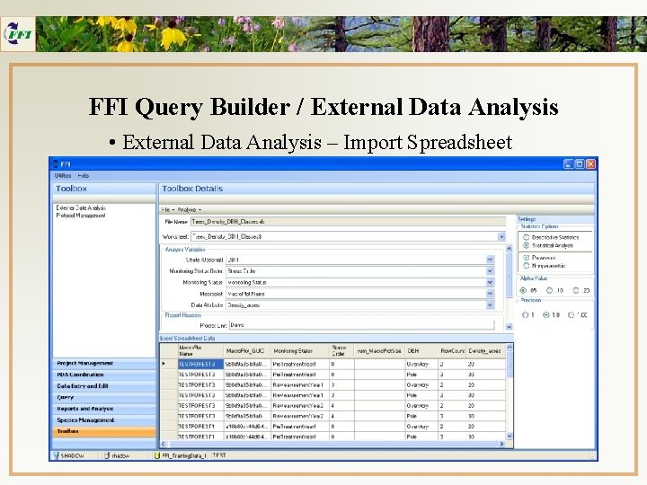 FFI Query Builder / External Data Analysis • External Data Analysis – Import Spreadsheet