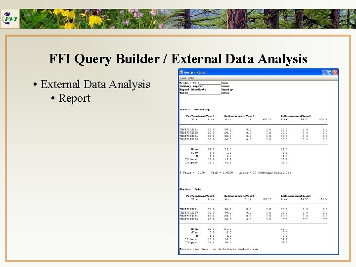 FFI Query Builder / External Data Analysis • Report 