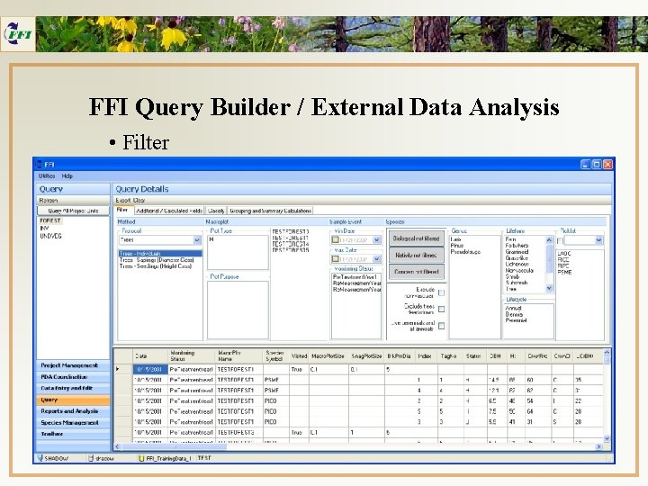 FFI Query Builder / External Data Analysis • Filter 