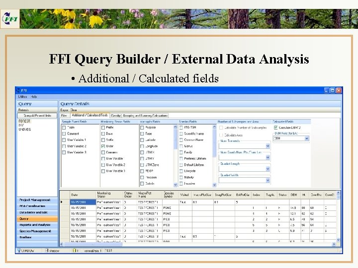 FFI Query Builder / External Data Analysis • Additional / Calculated fields 