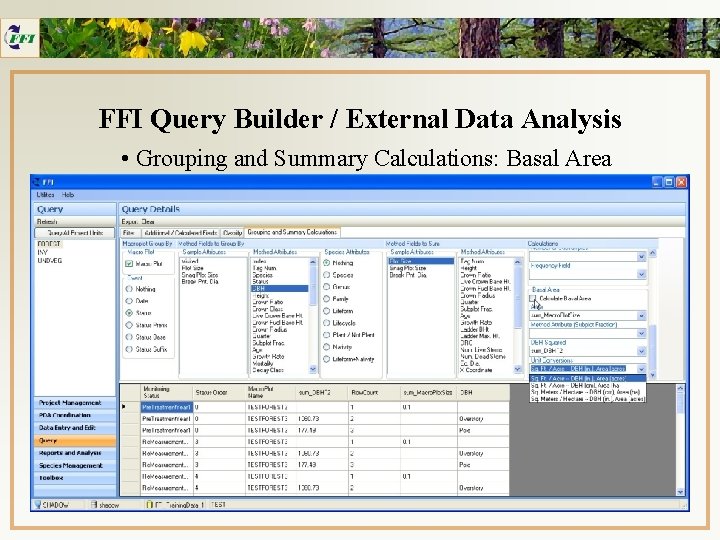 FFI Query Builder / External Data Analysis • Grouping and Summary Calculations: Basal Area