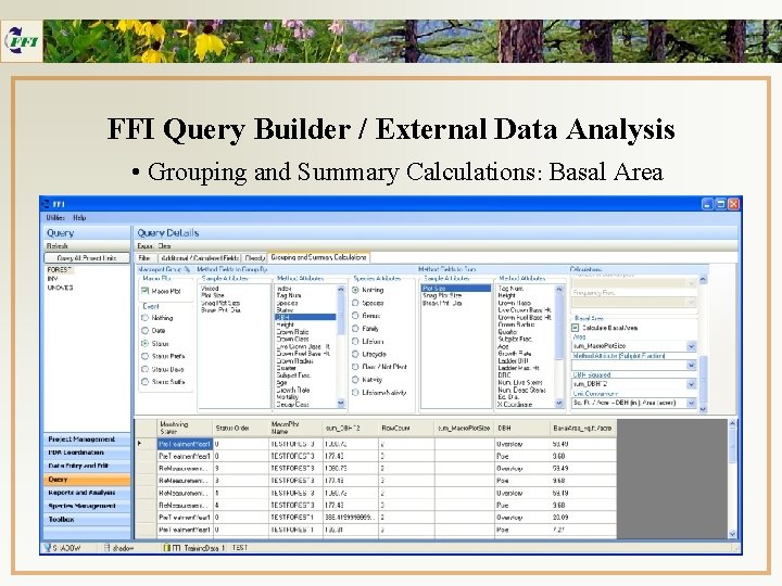 FFI Query Builder / External Data Analysis • Grouping and Summary Calculations: Basal Area