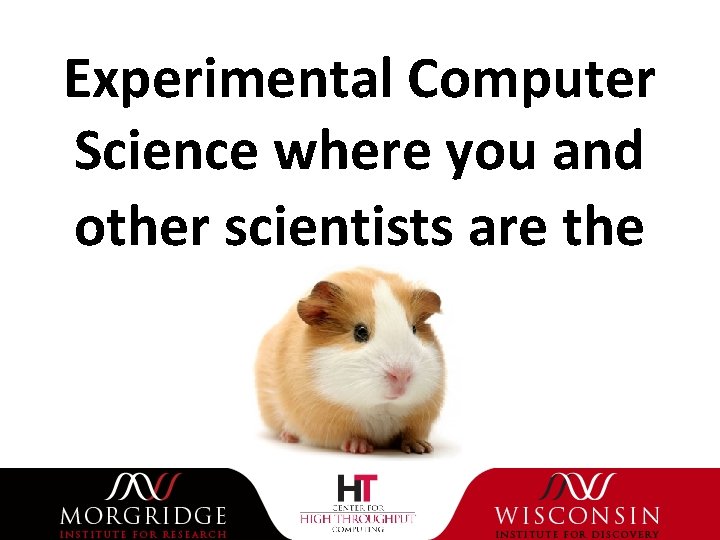 Experimental Computer Science where you and other scientists are the 