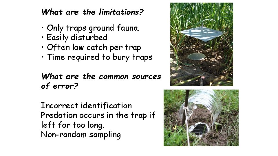 What are the limitations? • Only traps ground fauna. • Easily disturbed • Often