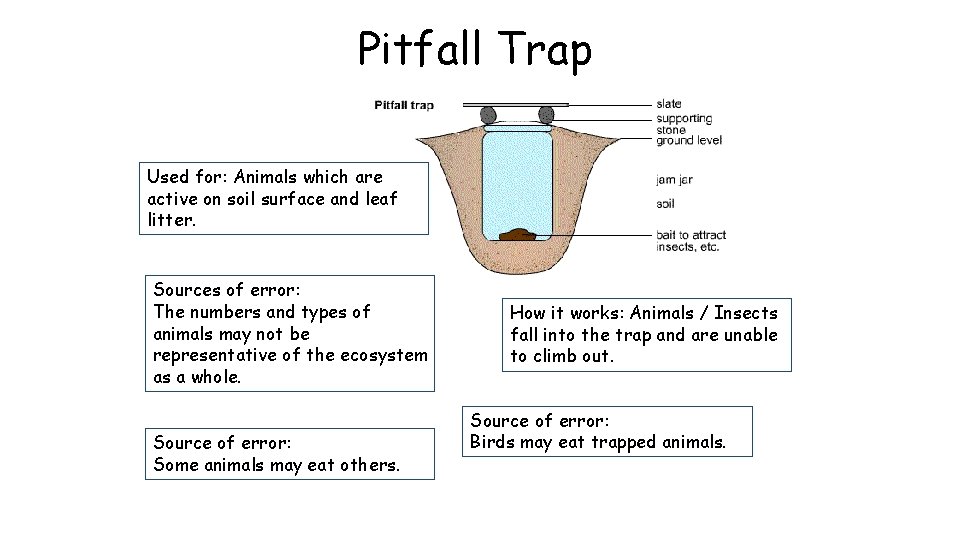 Pitfall Trap Used for: Animals which are active on soil surface and leaf litter.