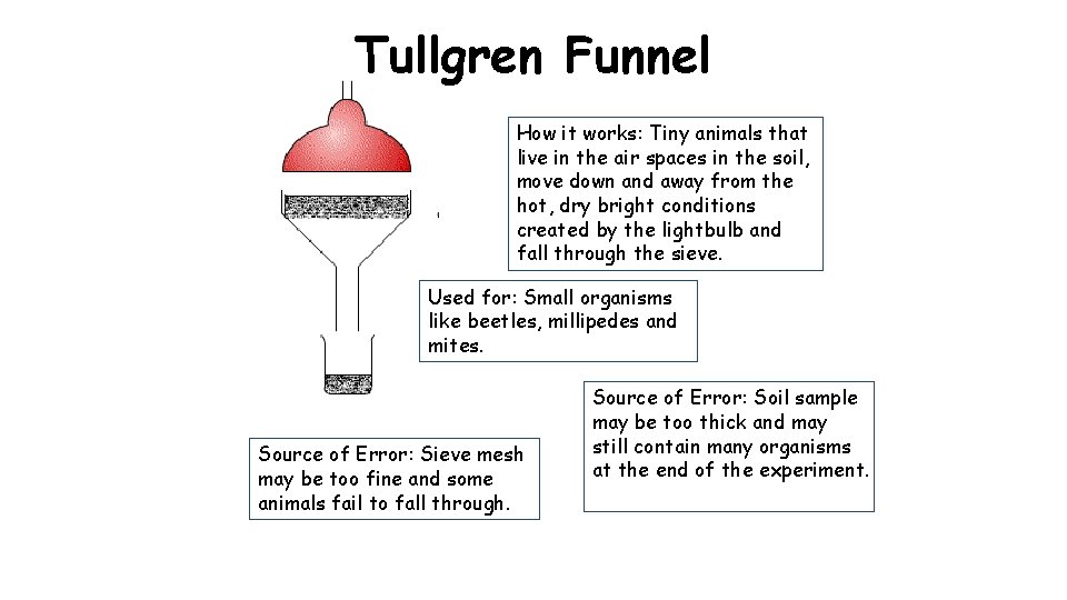 Tullgren Funnel How it works: Tiny animals that live in the air spaces in