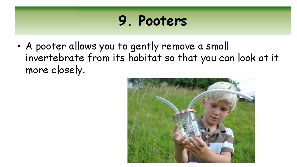 9. Pooters • A pooter allows you to gently remove a small invertebrate from