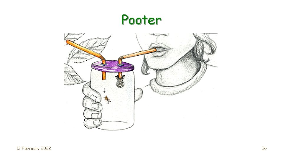 Pooter 13 February 2022 26 