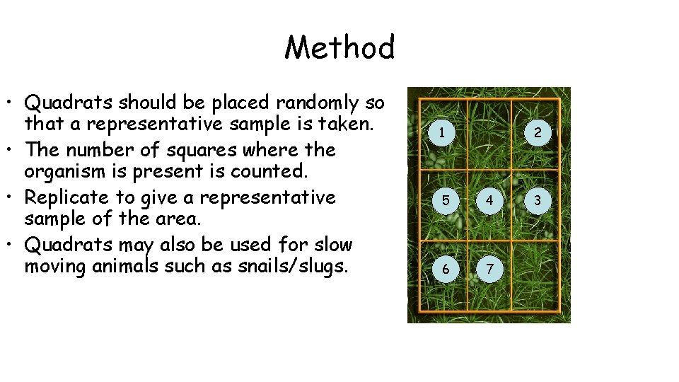 Method • Quadrats should be placed randomly so that a representative sample is taken.