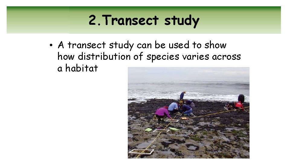 2. Transect study • A transect study can be used to show distribution of
