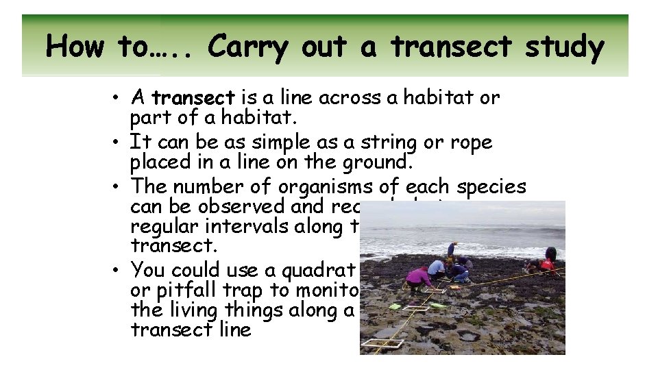 How to…. . Carry out a transect study • A transect is a line