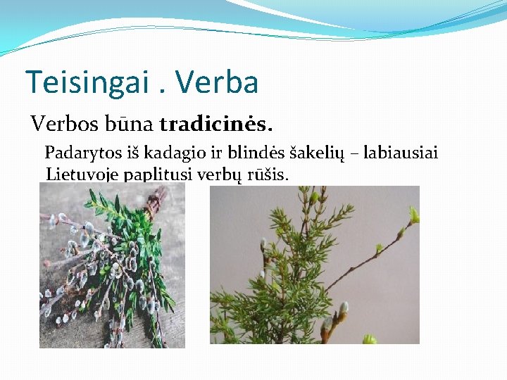 Teisingai. Verba Verbos būna tradicinės. Padarytos iš kadagio ir blindės šakelių – labiausiai Lietuvoje