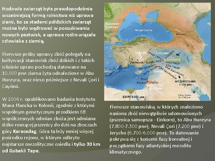 Hodowla zwierząt była prawdopodobnie wcześniejszą formą rolnictwa niż uprawa ziemi, bo ze stadami półdzikich