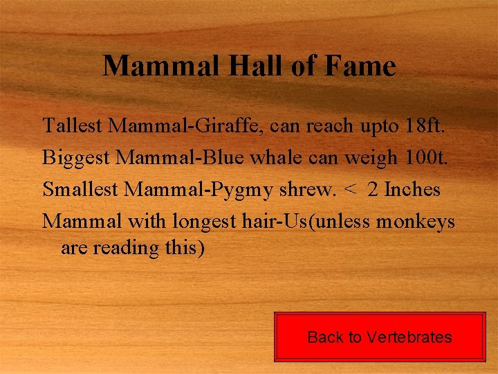 Mammal Hall of Fame Tallest Mammal-Giraffe, can reach upto 18 ft. Biggest Mammal-Blue whale
