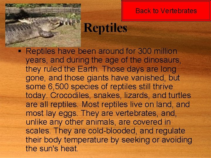 Back to Vertebrates Reptiles § Reptiles have been around for 300 million years, and