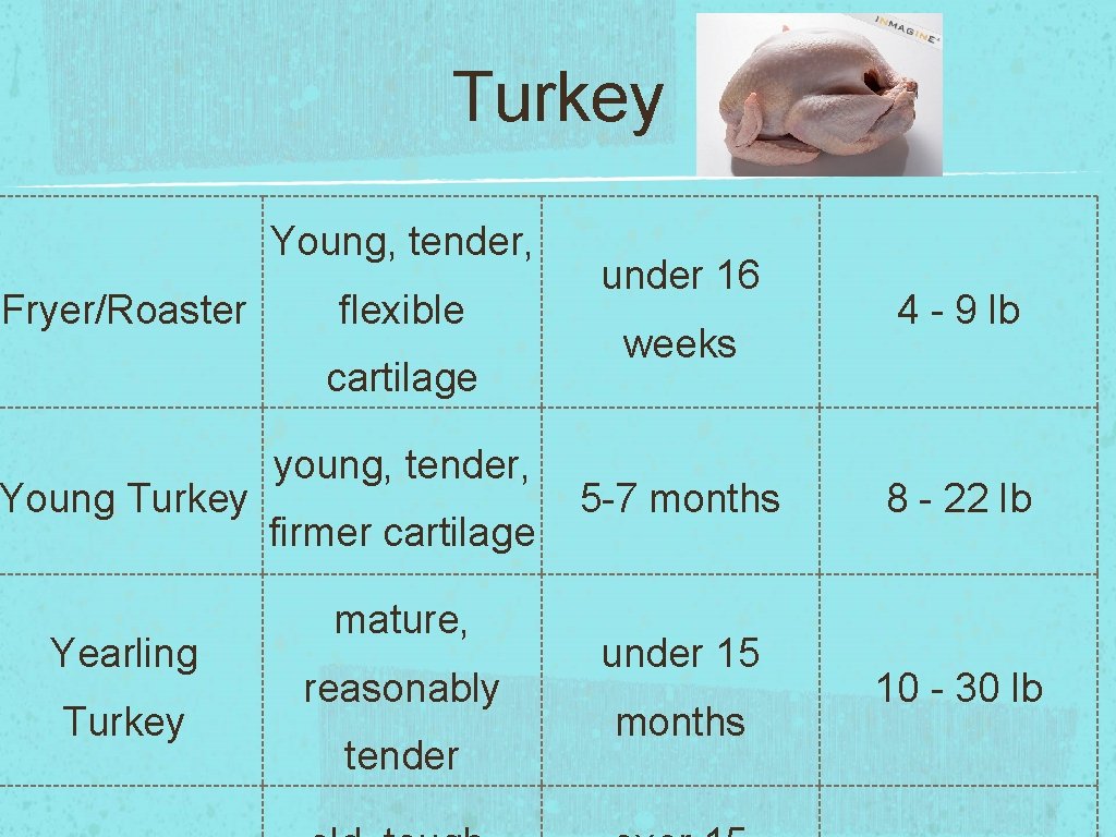 Turkey Young, tender, Fryer/Roaster flexible cartilage Young Turkey Yearling Turkey young, tender, firmer cartilage