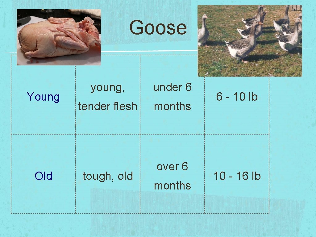 Goose Young Old young, under 6 tender flesh months tough, old over 6 months