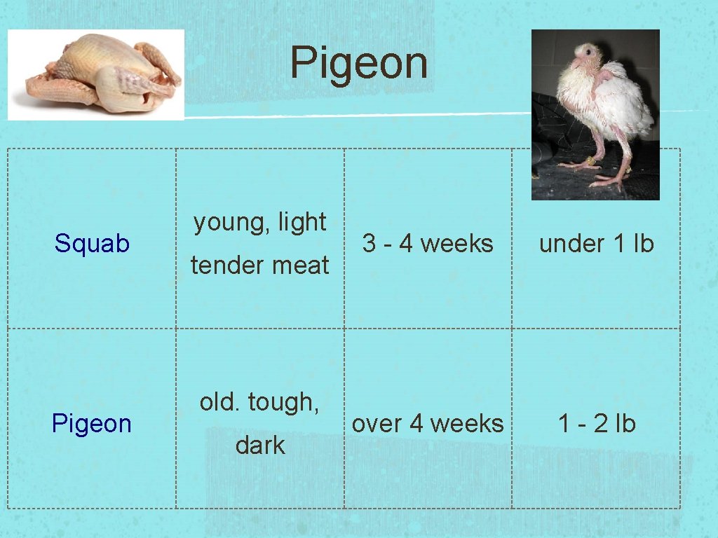 Pigeon Squab Pigeon young, light tender meat old. tough, dark 3 - 4 weeks