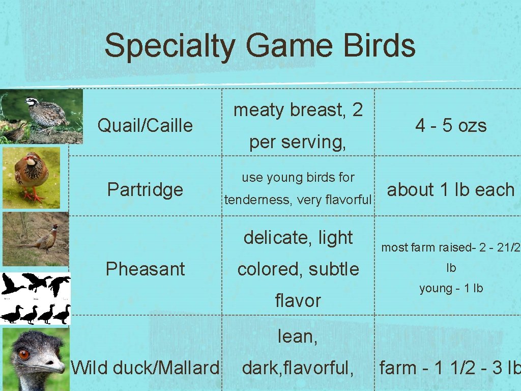 Specialty Game Birds Quail/Caille Partridge meaty breast, 2 per serving, use young birds for