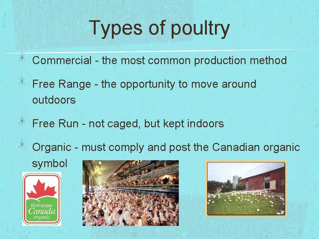 Types of poultry Commercial - the most common production method Free Range - the