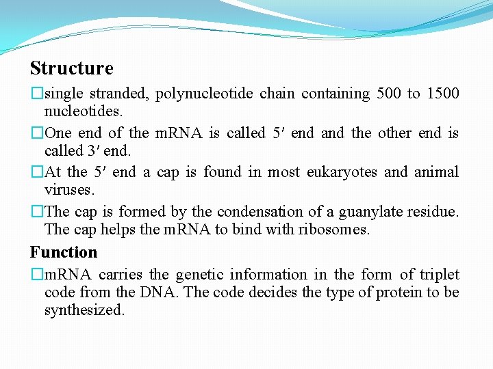 Structure �single stranded, polynucleotide chain containing 500 to 1500 nucleotides. �One end of the
