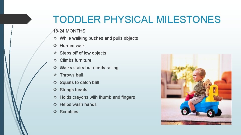 TODDLER PHYSICAL MILESTONES 18 -24 MONTHS While walking pushes and pulls objects Hurried walk