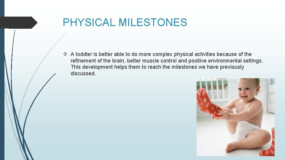 PHYSICAL MILESTONES A toddler is better able to do more complex physical activities because