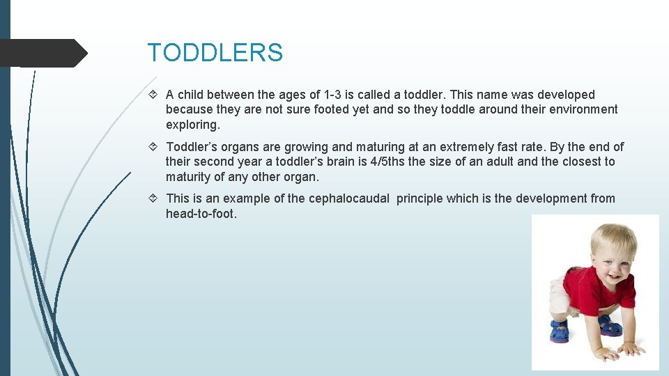 TODDLERS A child between the ages of 1 -3 is called a toddler. This
