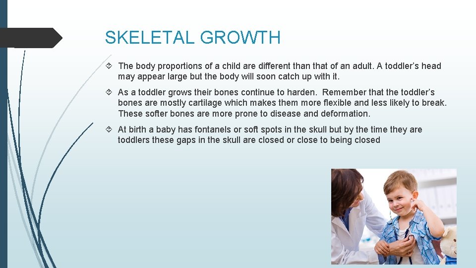 SKELETAL GROWTH The body proportions of a child are different than that of an