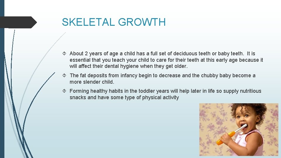 SKELETAL GROWTH About 2 years of age a child has a full set of